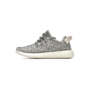 Adidas Originals Yeezy Boost 350 Turle Dove AQ4832