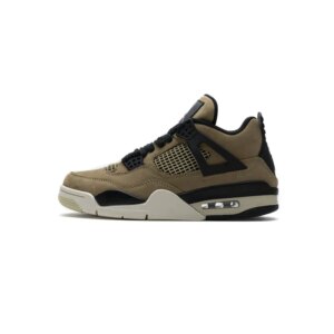 Air Jordan 4 Retro Fossil (W) AQ9129-200